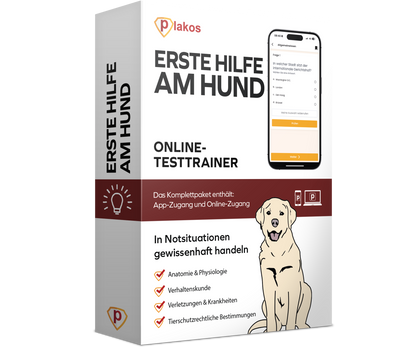 Erste Hilfe am Hund - Online Kurs