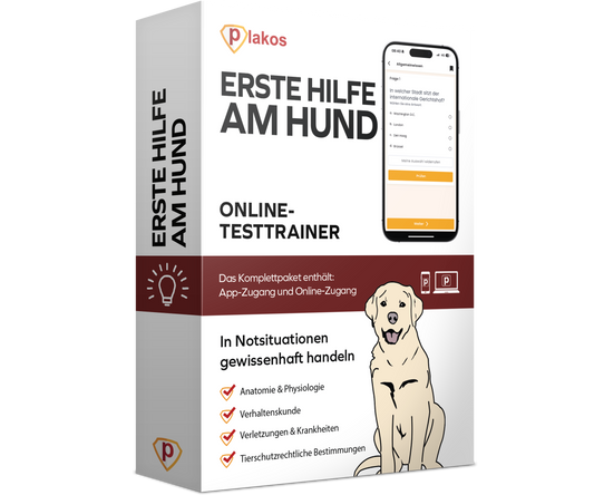 Erste Hilfe am Hund - Online Kurs