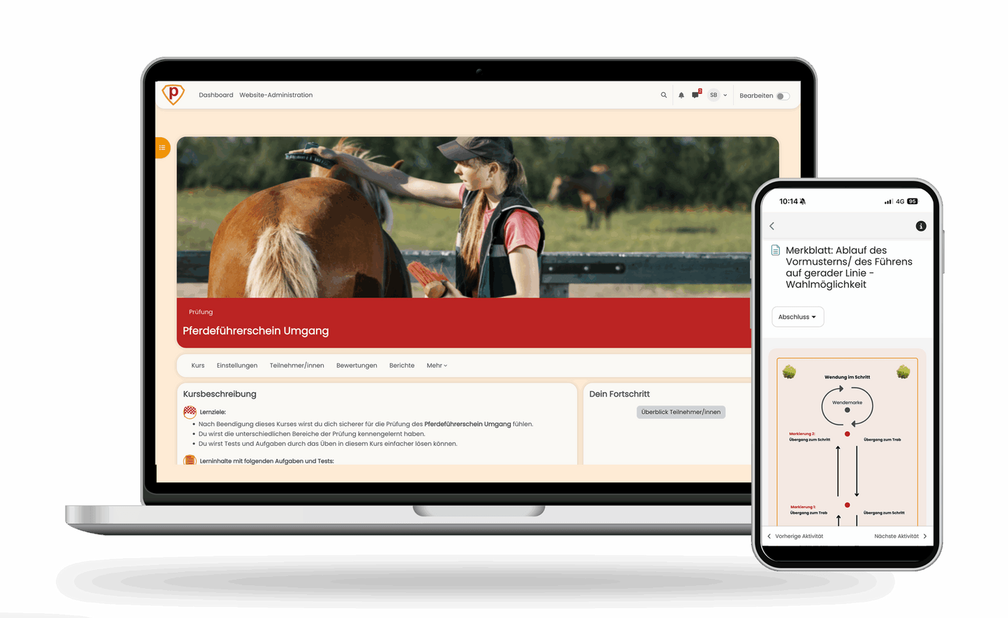 Pferdeführerschein Umgang Prüfungsfragen 2026 Online Testtrainer
