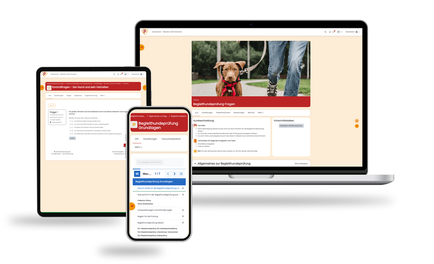 Begleithundeprüfung Fragen 2026 Online Testtrainer