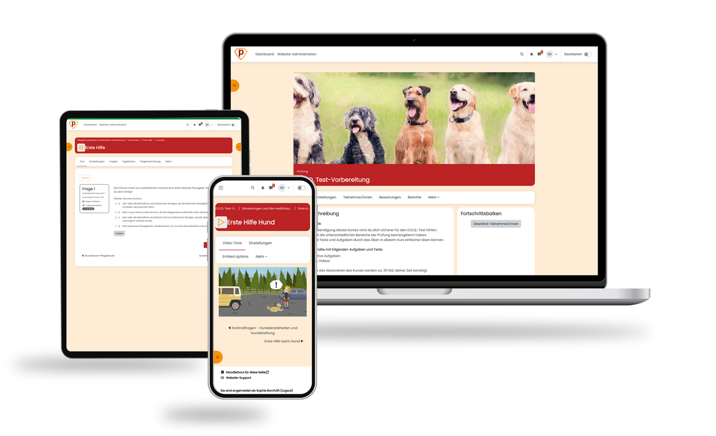 D.O.Q. Tierschutzgesetz Prüfung 2026 Online Testtrainer