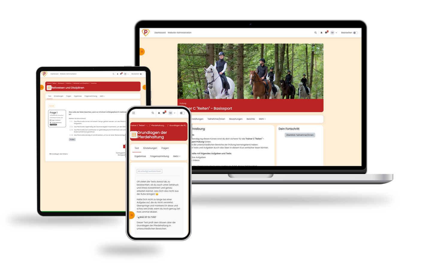 Trainer C Reiten Prüfung 2026 Online Testtrainer