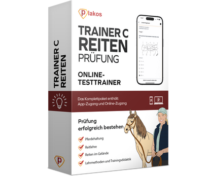 Trainer C Reiten Prüfung 2026 Online Testtrainer