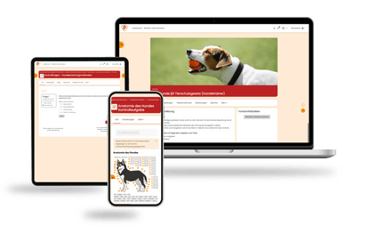 Paragraph 11 Tierschutzgesetz Prüfungsfragen Hundetrainer 2026